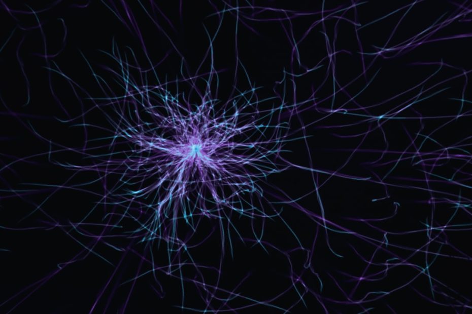 AI data settlements — AI Data Settlements: How Will Courts Know Who to Pay?